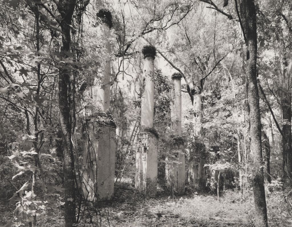 Overgrown columns, Charles Plantation, from the Tallahassee Amid Generations portfolio