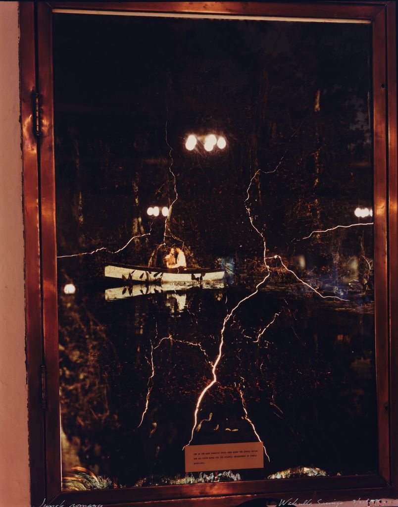 Jungle Romance, Wakulla Springs, from the Tallahassee Amid Generations portfolio