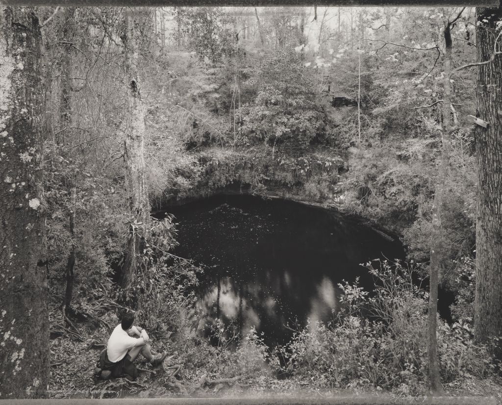 Overlooking Big Dismal Sink, from the Tallahassee Amid Generations portfolio