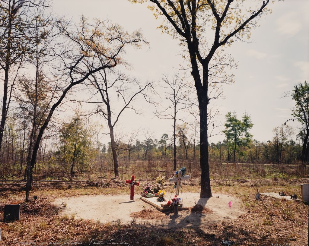 Freshly placed flowers-Easter Sunday, from the Tallahassee Amid Generations portfolio