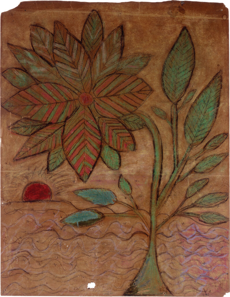 Drawing of a multilayered flower in striped pink and green with a green stem and leaves; background has lightly drawn sunset with blue waves of water and red sun.