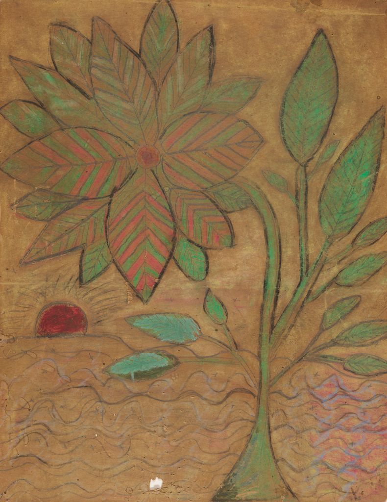 Drawing of a multilayered flower in striped pink and green with a green stem and leaves; background has lightly drawn sunset with blue waves of water and red sun.