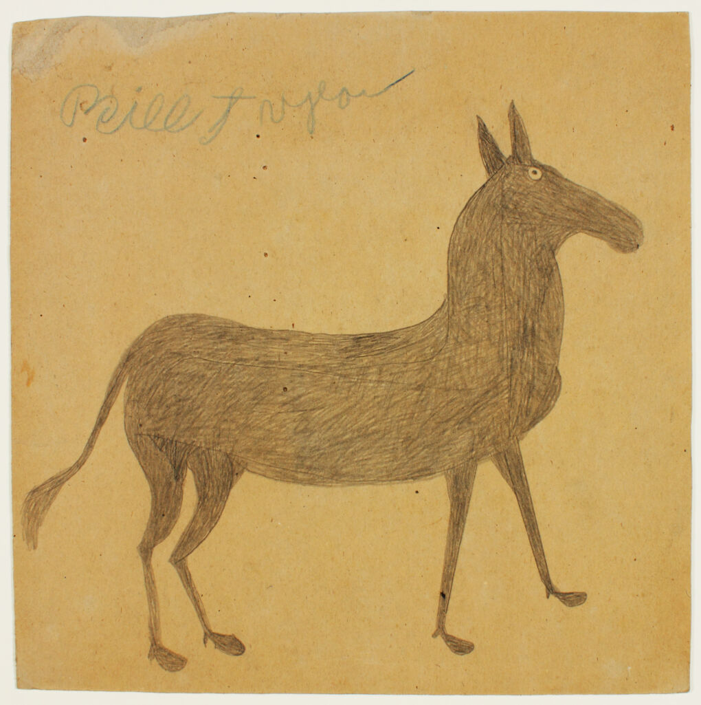 Untitled (Mule)