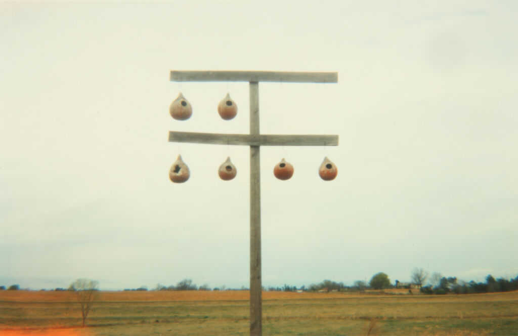 Gourd Tree, Near Akron, AL