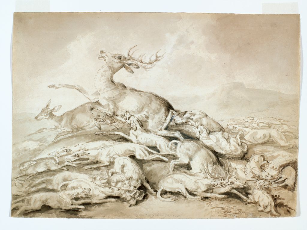 Stag Hunt