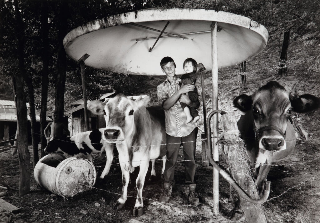 Donnie with Baby and Cows, Lost Creek, Kentucky