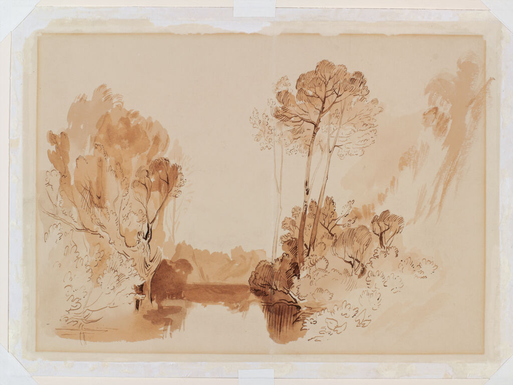 Trees by a Stream