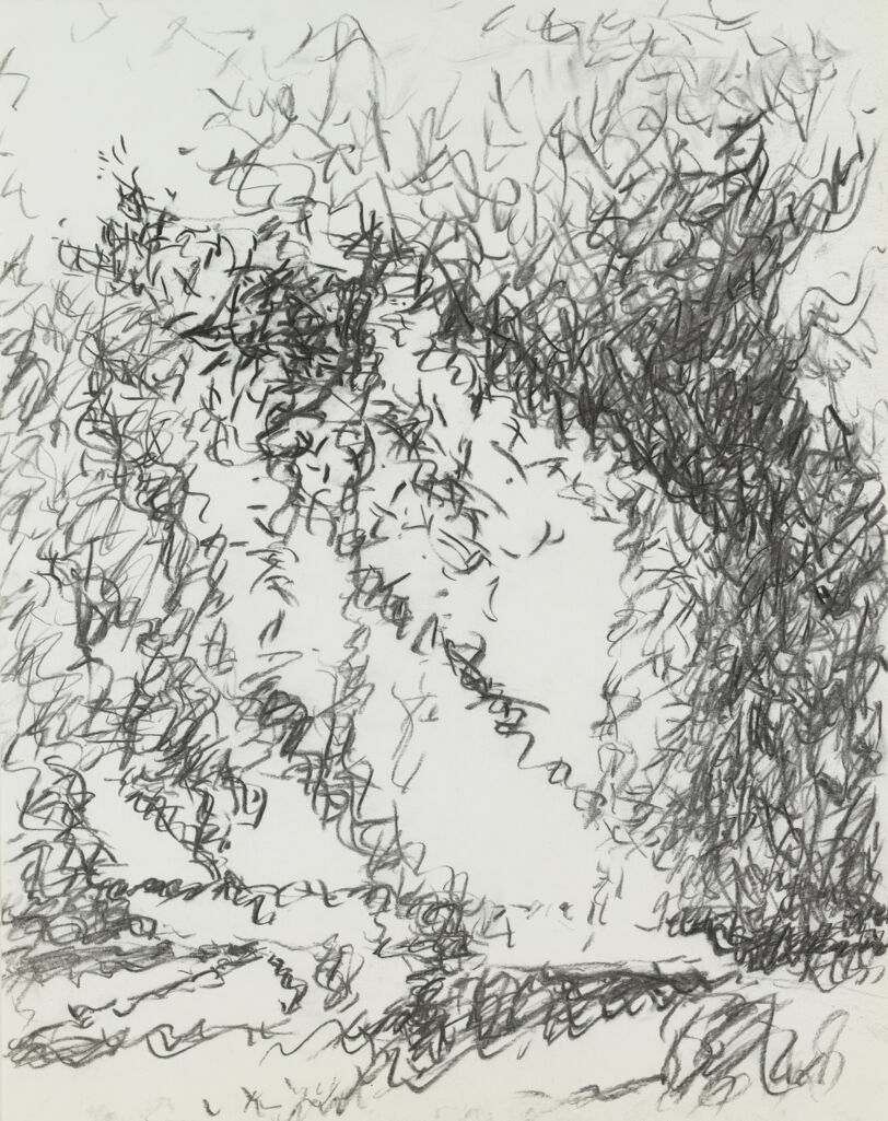 Light Drawing 2/7/81 12 Noon