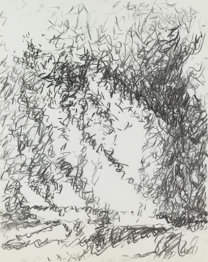Light Drawing 2/7/81 12 Noon