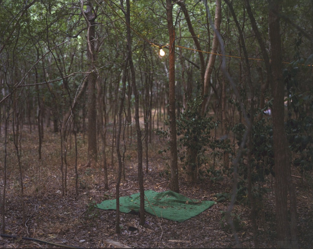 Enchanted Forest (45), Texas