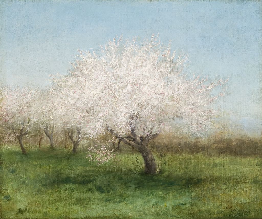 Apple Trees in a Meadow