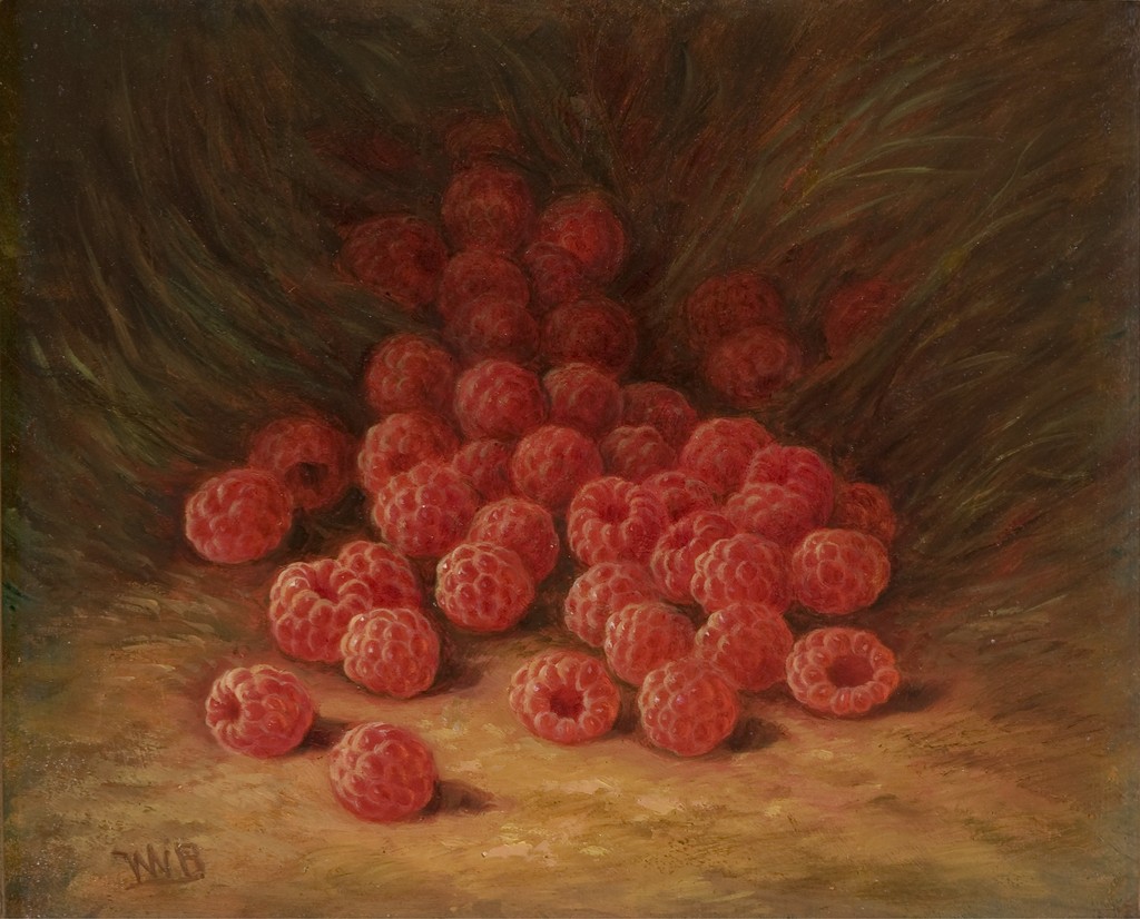 Red Raspberries on a Forest Floor