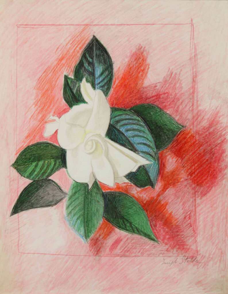 Gardenia