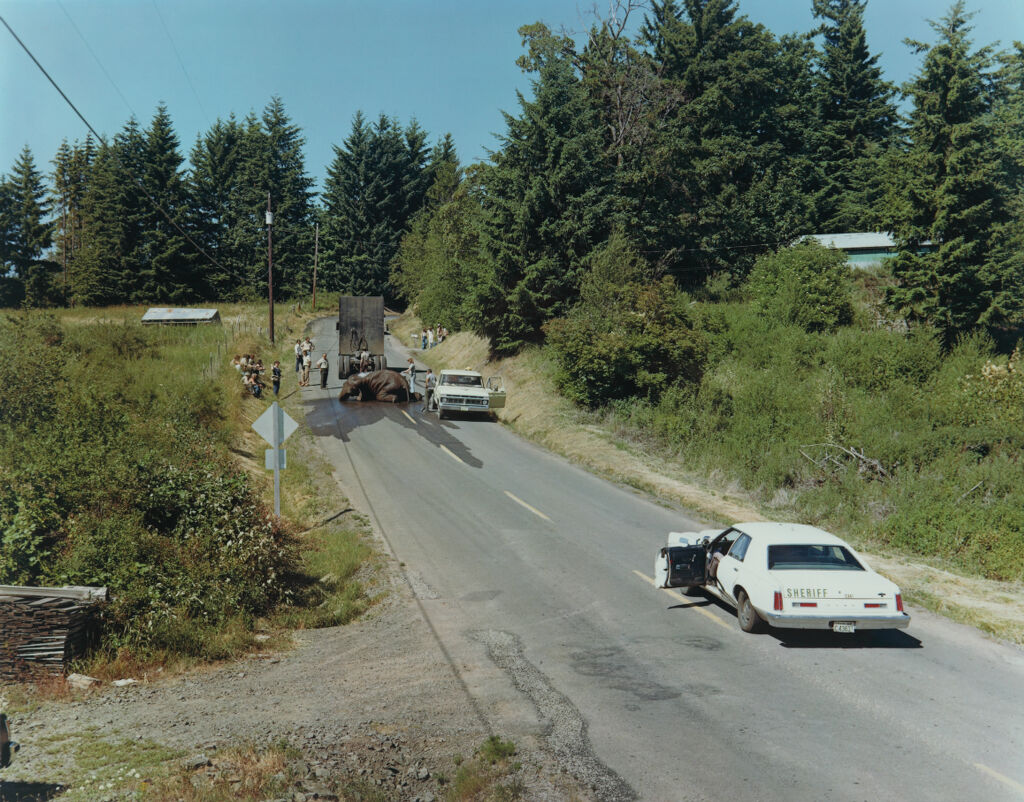 Exhausted Renegade Elephant, Woodburn, Washington, June 1979