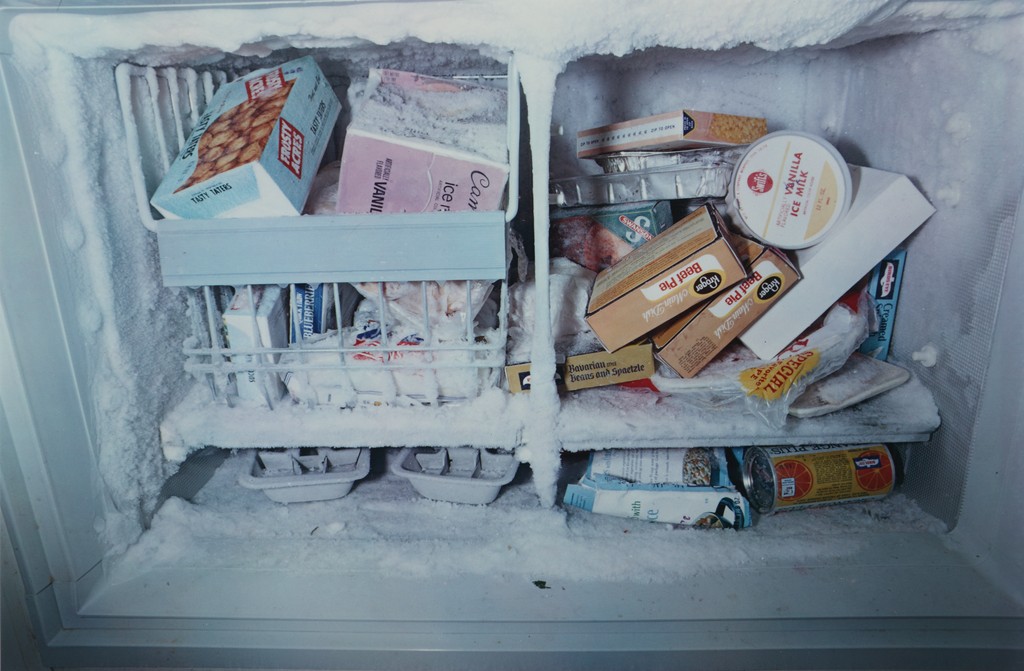 Untitled (Freezer)