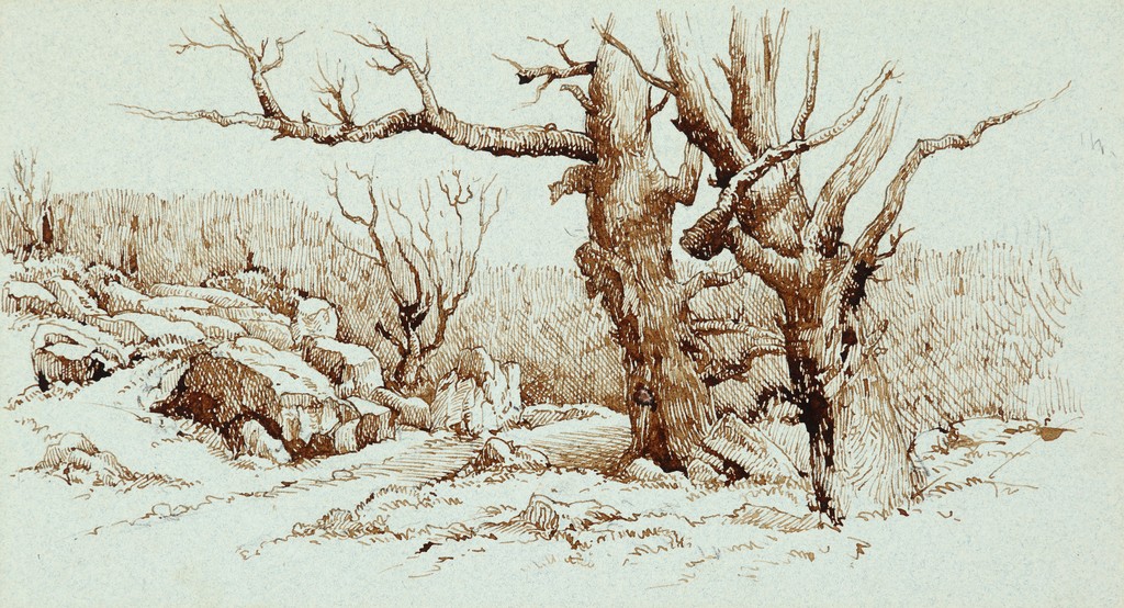 Trees in a Rocky Landscape