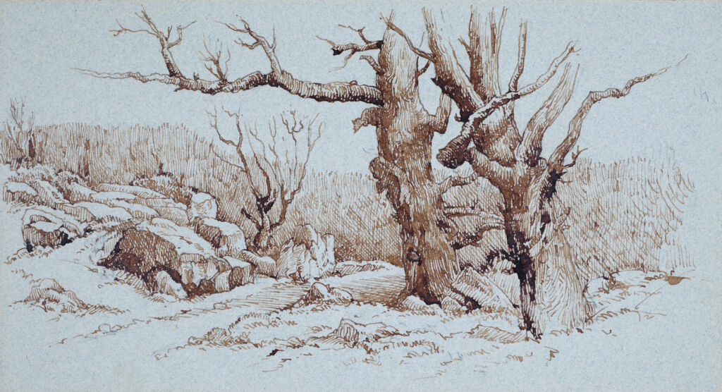 Trees in a Rocky Landscape