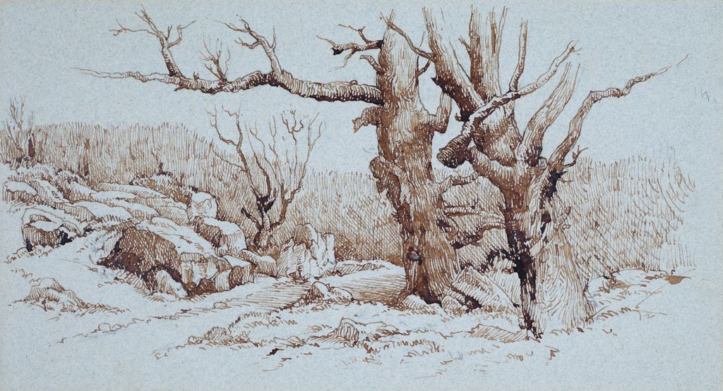 Trees in a Rocky Landscape