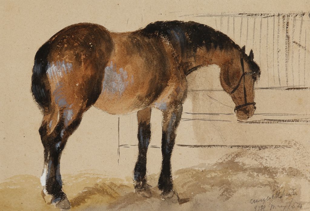 Horse in a Stable, Craiglockhart, Scotland