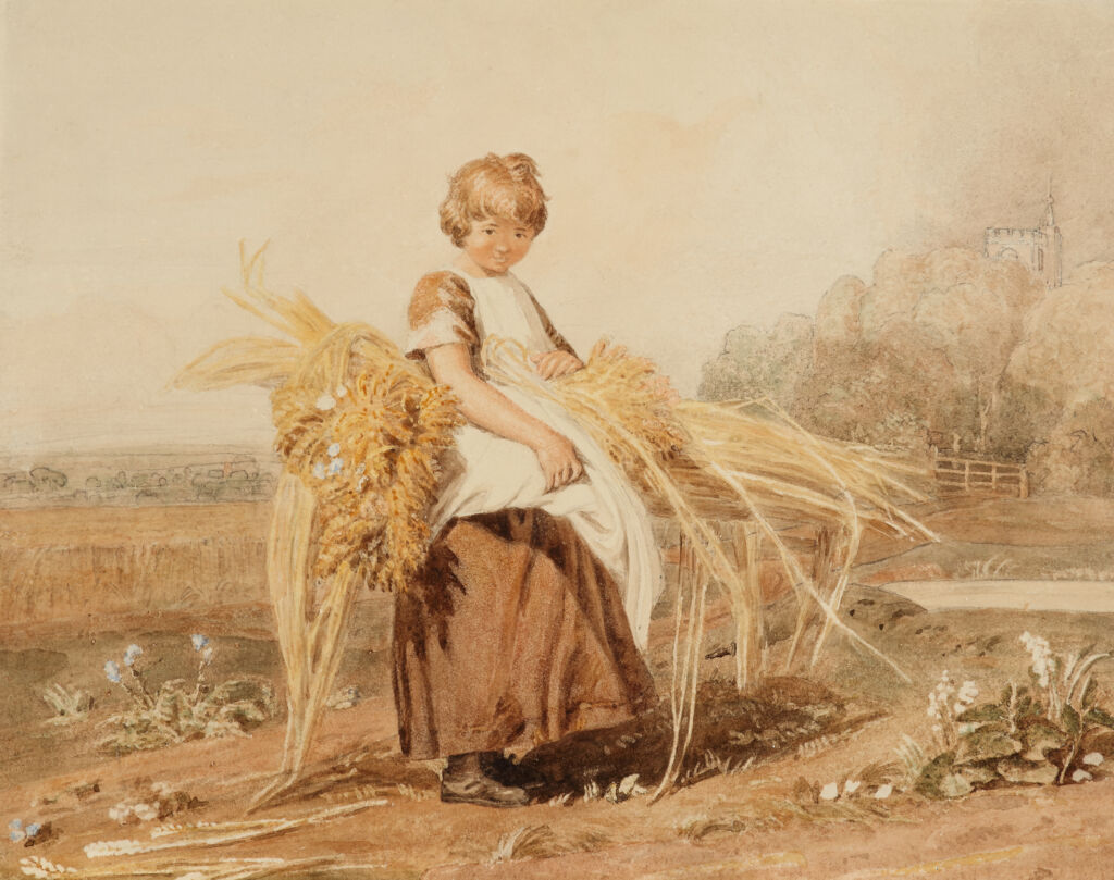 Young Gleaner in a Harvest Field