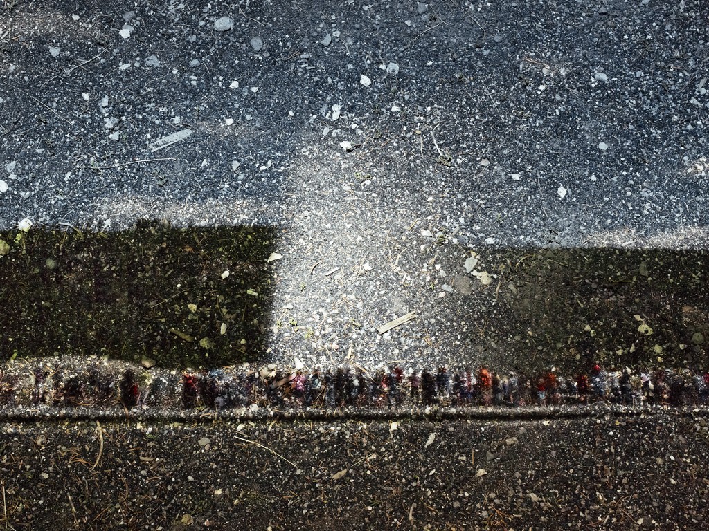 Tent-Camera Image on Ground: View of Old Faithful Geyser, Yellowstone National Park, Wyoming