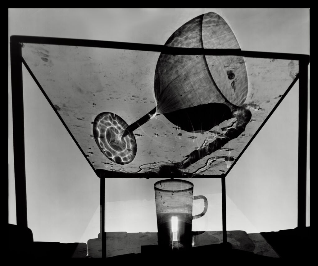 Still Life with Wine Glass: Photogram on 20” x 24” Film