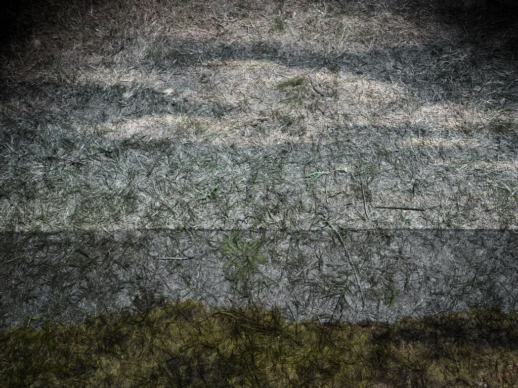 Tent-Camera Image on Ground: View of Sea from Winslow Homer’s Studio Backyard, Prouts Neck, Maine