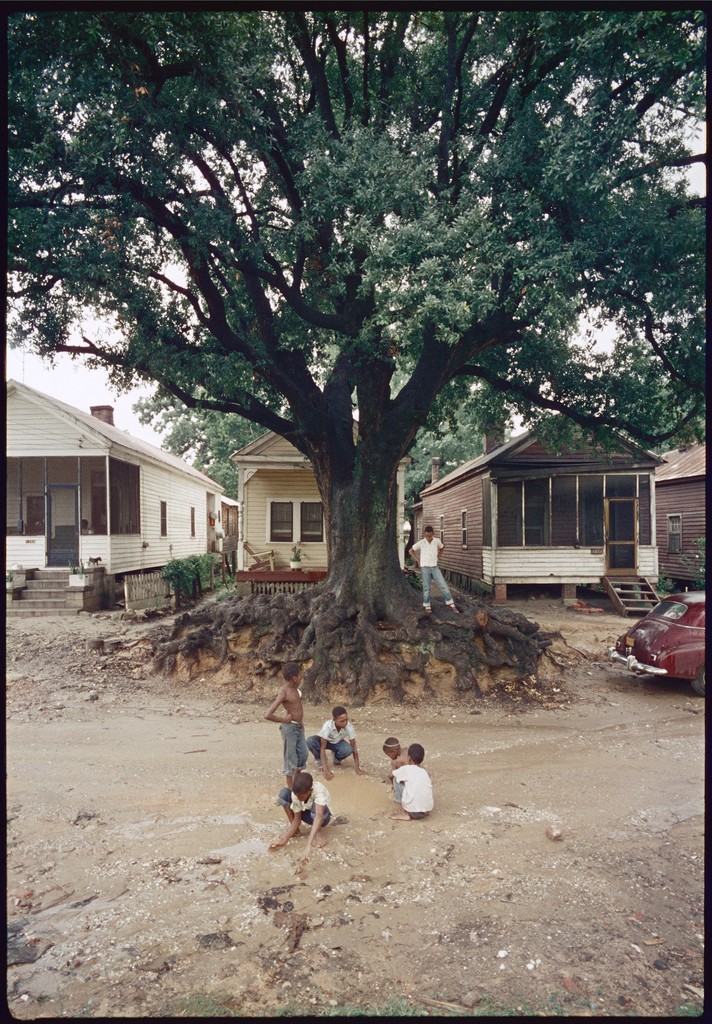 Children at Play, Mobile, Alabama