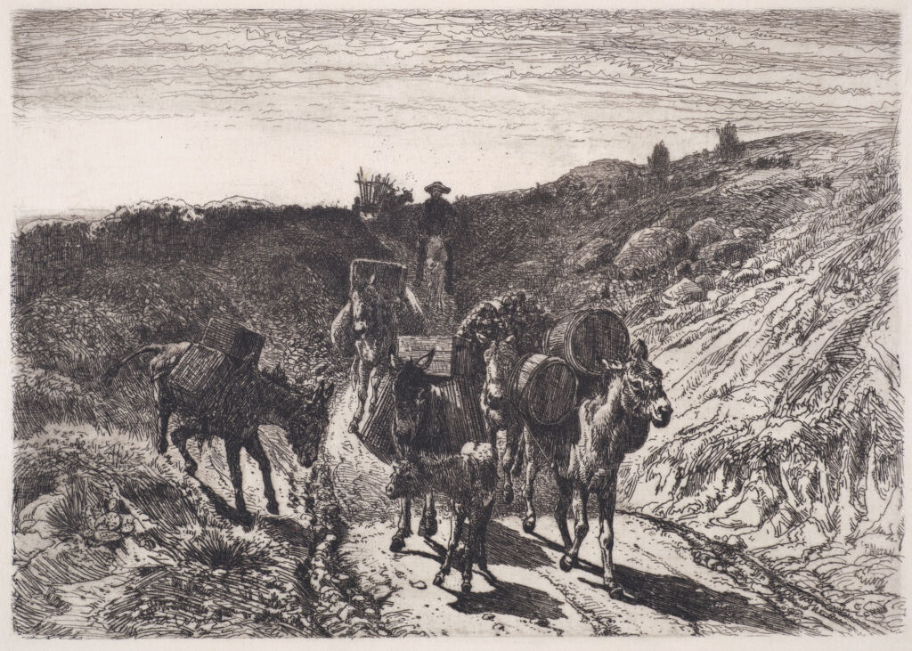 A Burro Train, New Mexico