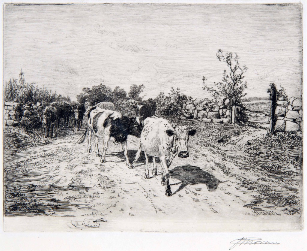 (Cattle on Road)