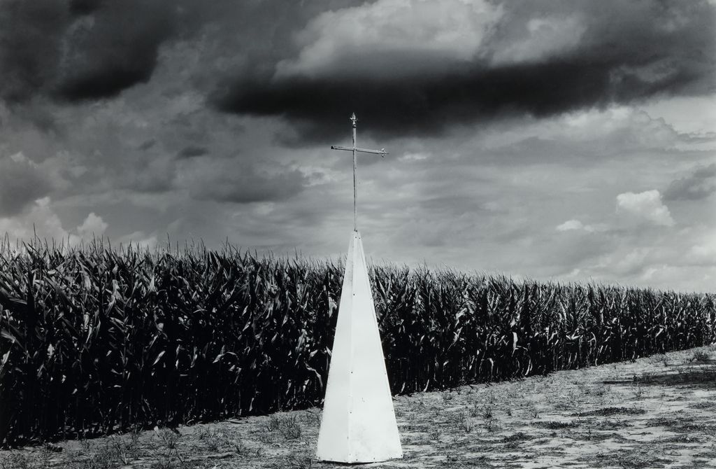 Steeple Cornfield