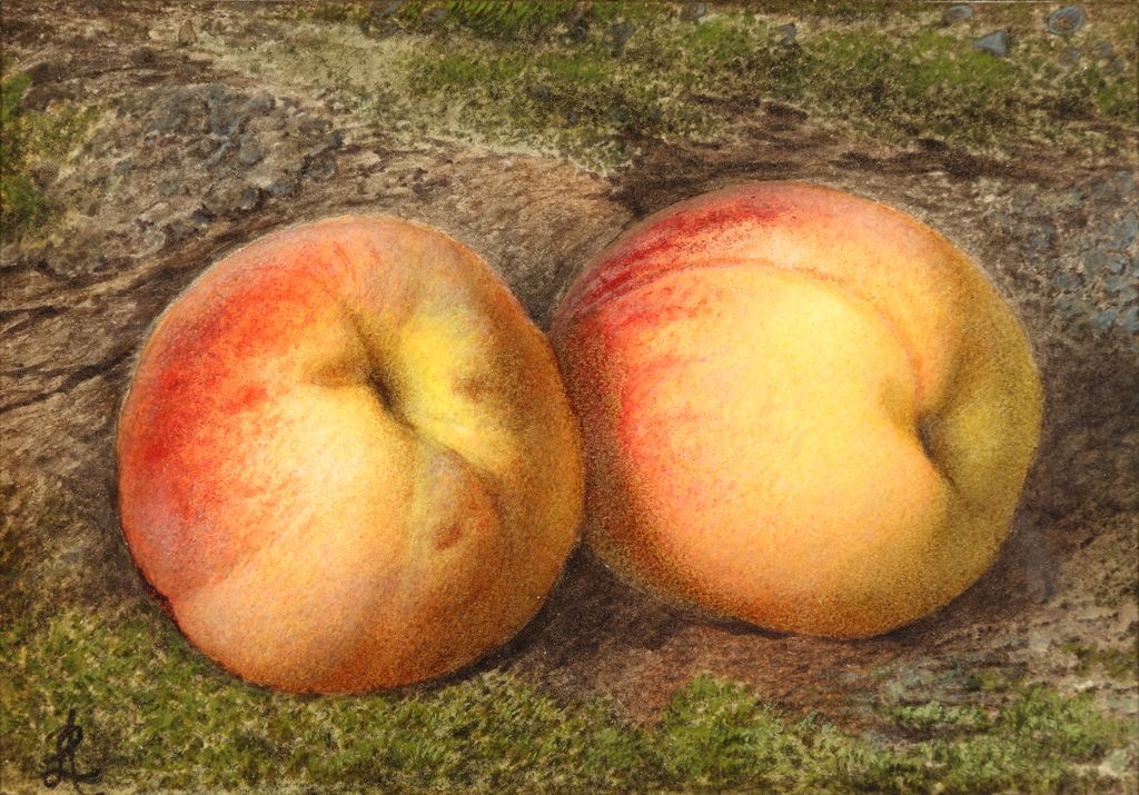 Two Peaches