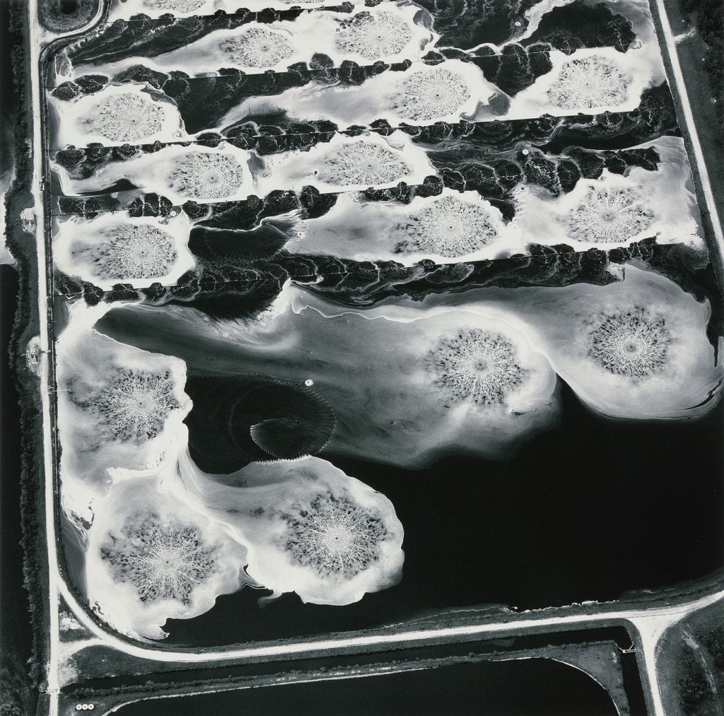 Aeration Pond, Toxic Water Treatment Facility, Georgetown, South Carolina