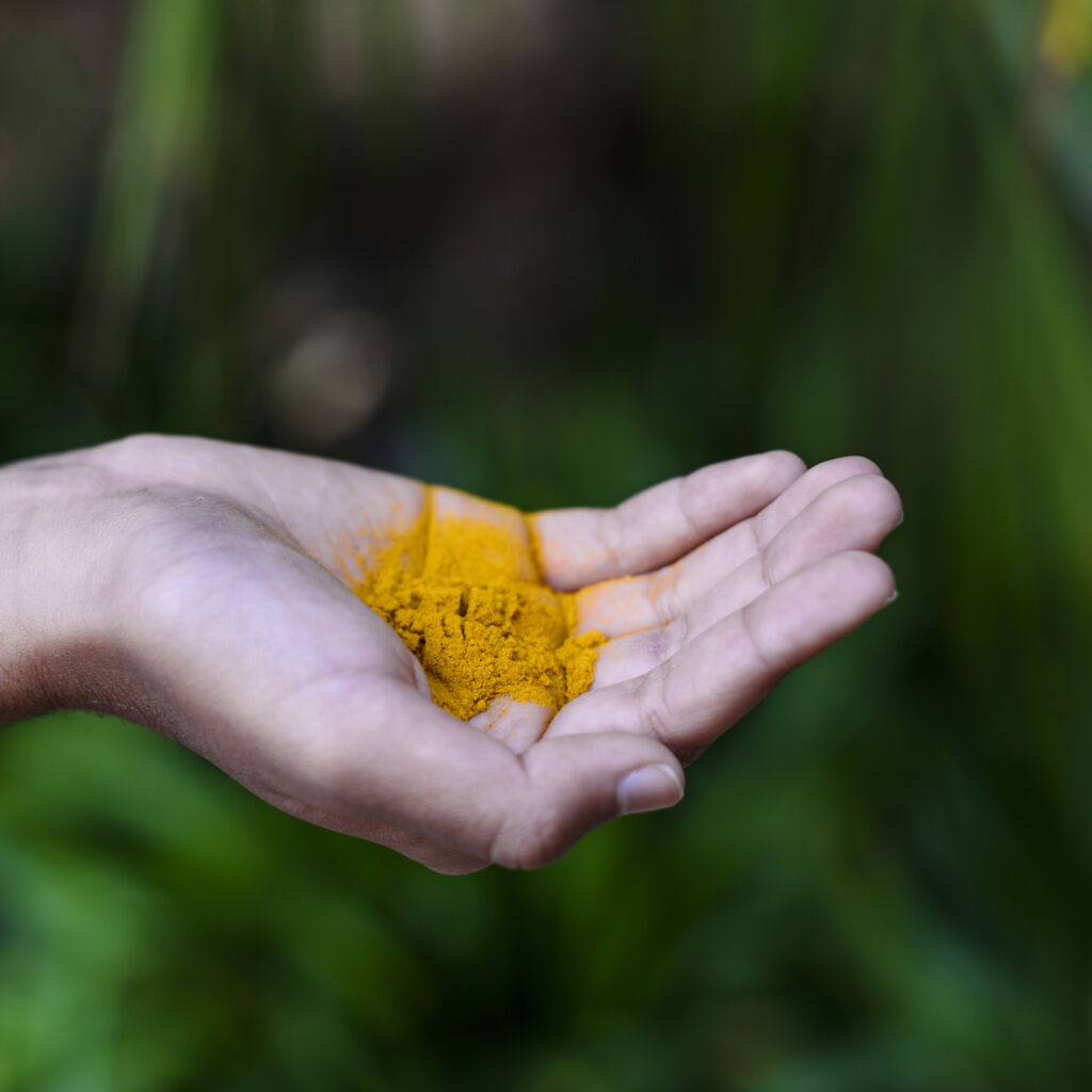 Haldi (Turmeric) in Hand