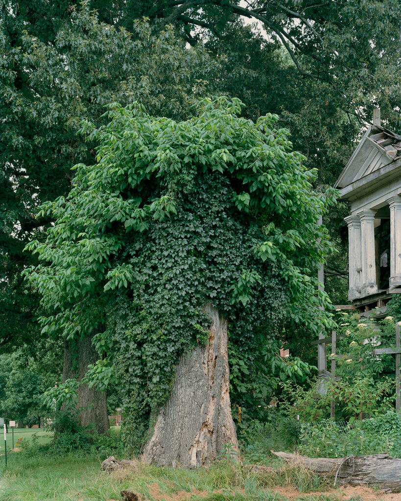 Condemned Plantation House Built Above a Hidden Slave Tunnel, Augusta, Arkansas