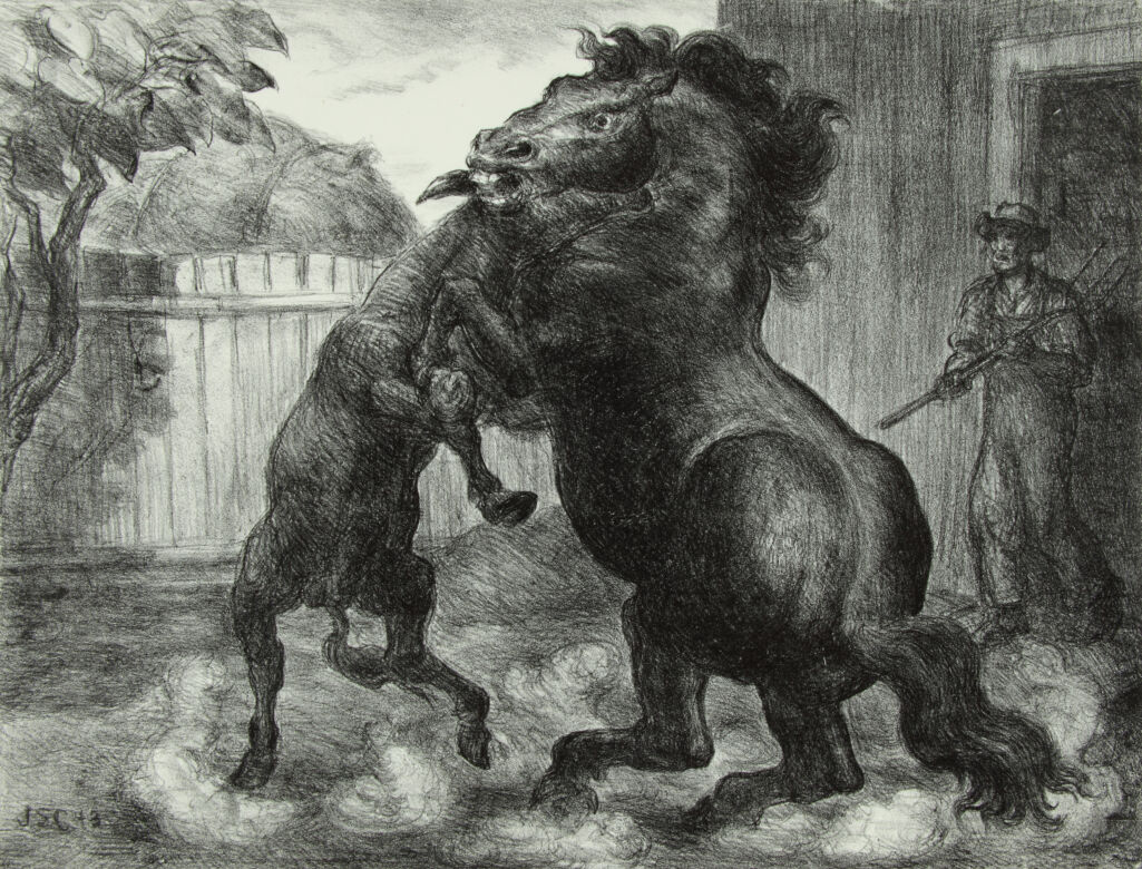 Stallion and Jack Fighting