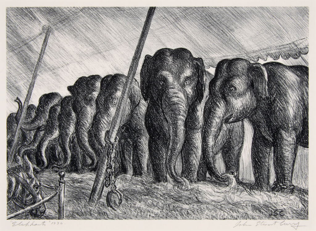 Elephants