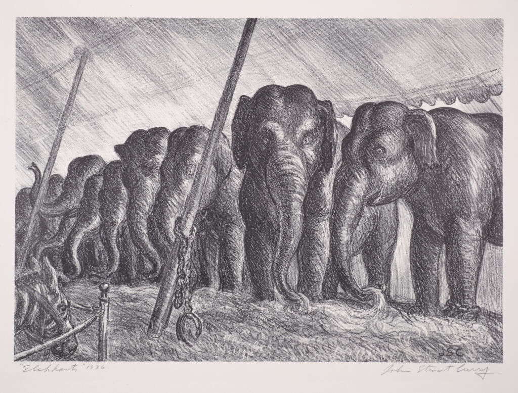 Elephants