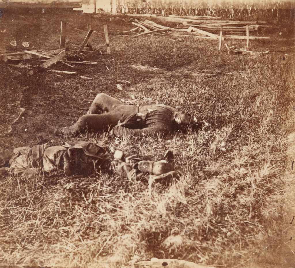 Antietam Dead