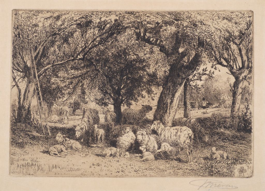 Sheep in an Orchard