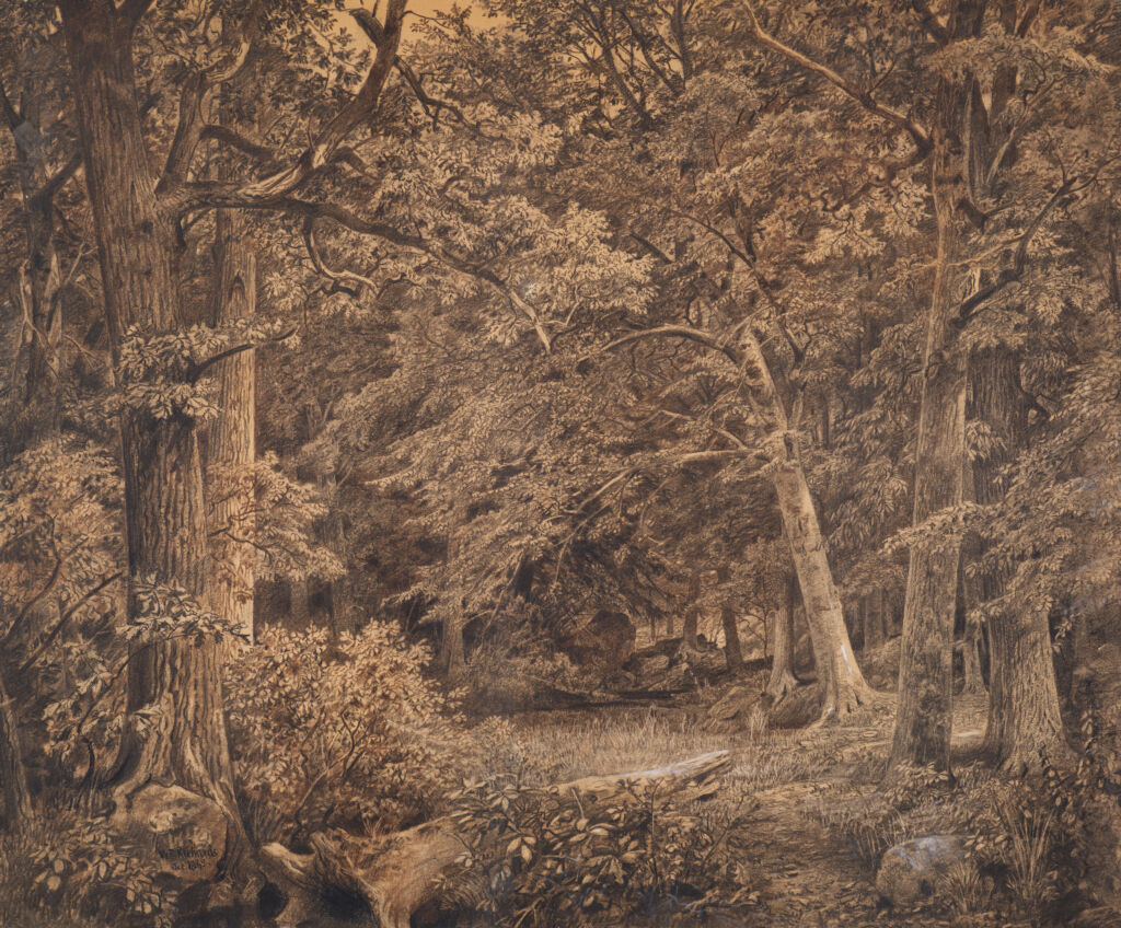 Woods