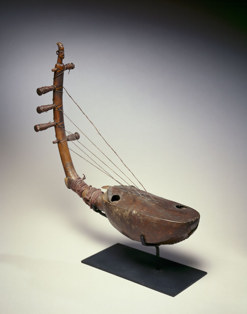 Stringed Instrument