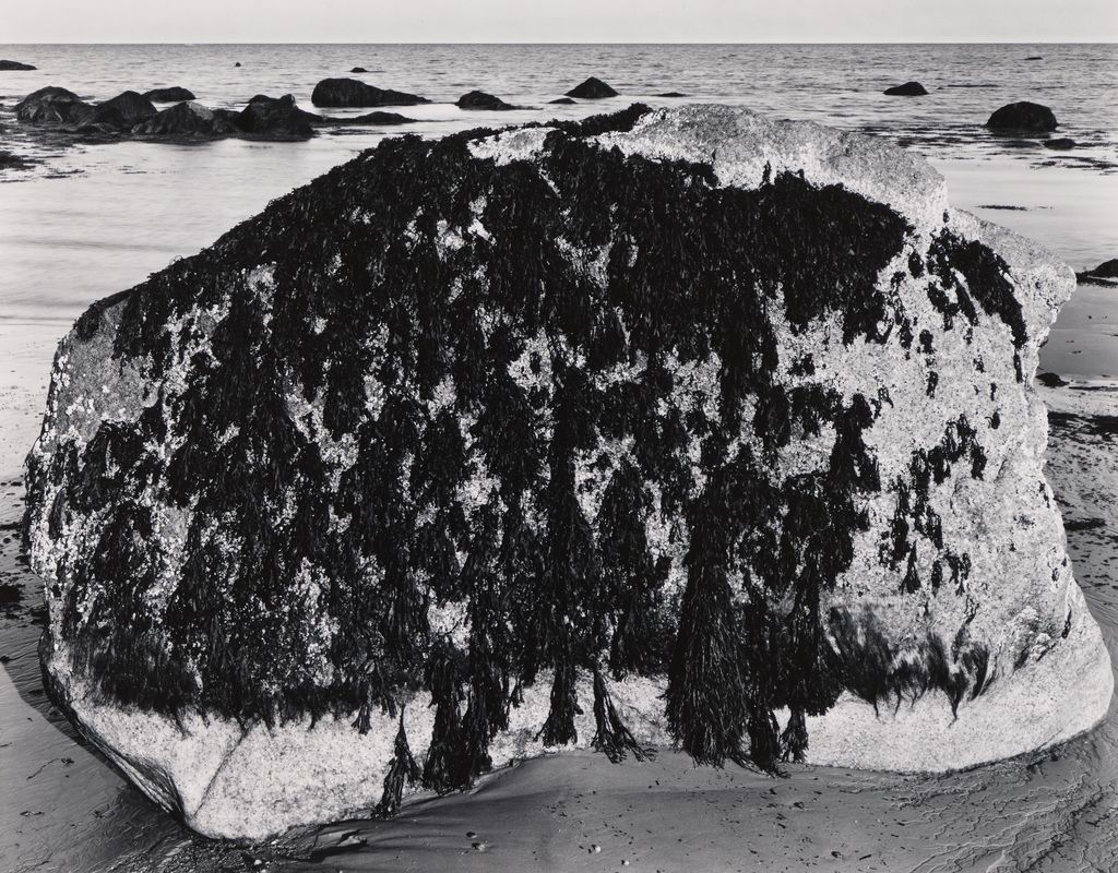 Untitled (From Portfolio of 11)