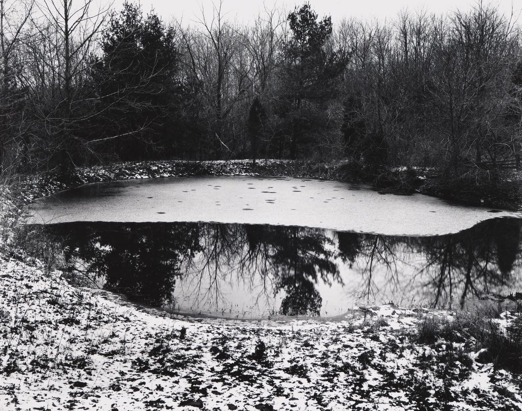 Untitled (From Portfolio of 11)