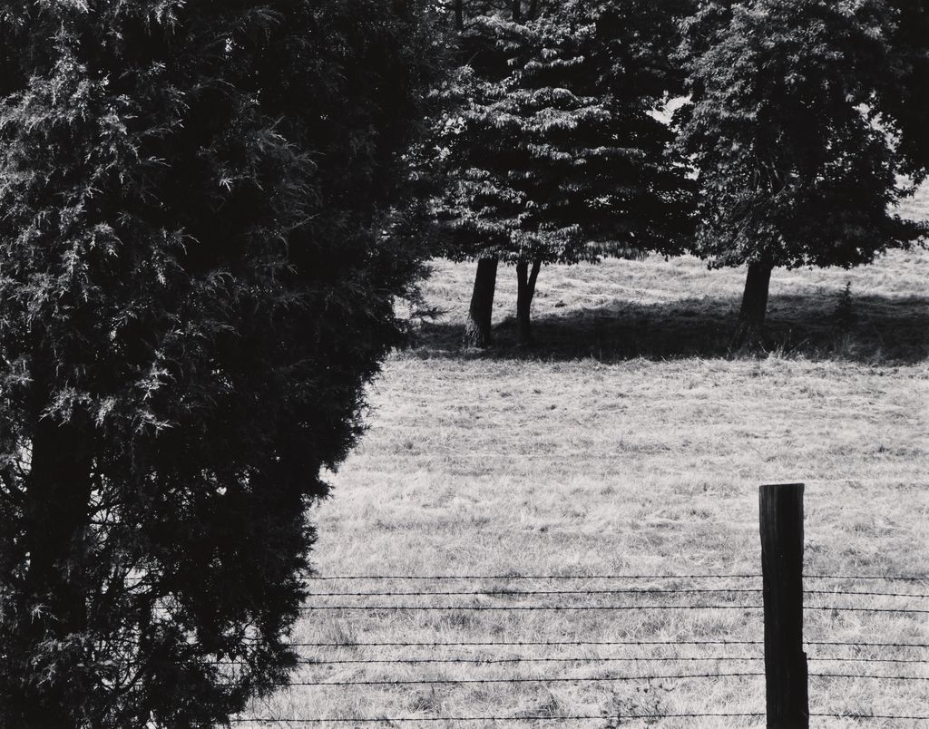 Untitled (From Portfolio of 11)