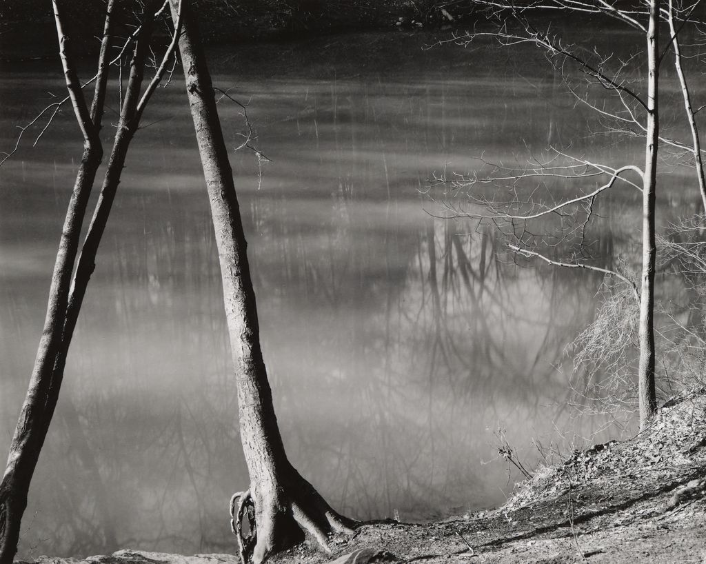 Untitled (From Portfolio of 11)