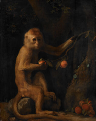 <span>Visit 1799</span>