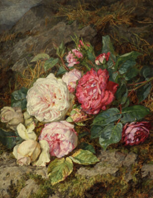 <span>Visit 1873</span>